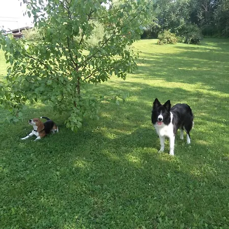 Kettumaeen Maaseudun Rauhassa Appartement