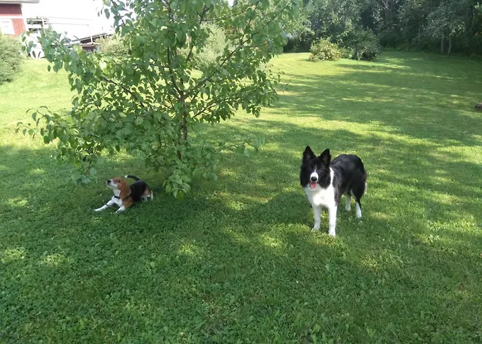 Kettumaeen Maaseudun Rauhassa Apartamento